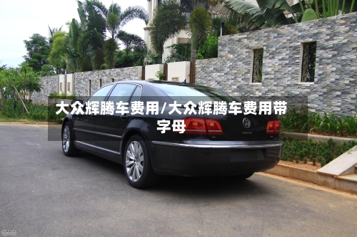 大众辉腾车费用/大众辉腾车费用带字母