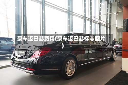 豪车迈巴赫费用(豪车迈巴赫标志图片)