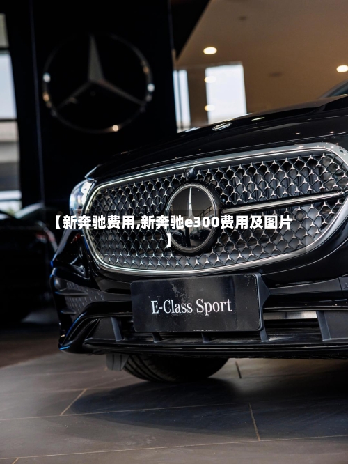 【新奔驰费用,新奔驰e300费用及图片】