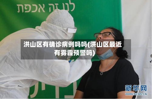 洪山区有确诊病例吗吗(洪山区最近有雾霾预警吗)-第2张图片