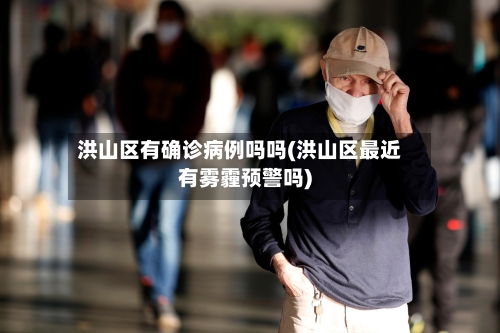 洪山区有确诊病例吗吗(洪山区最近有雾霾预警吗)