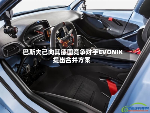 巴斯夫已向其德国竞争对手EVONIK提出合并方案-第2张图片
