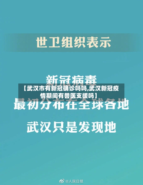 【武汉市有新冠确诊吗吗,武汉新冠疫情期间有兽医支援吗】-第2张图片