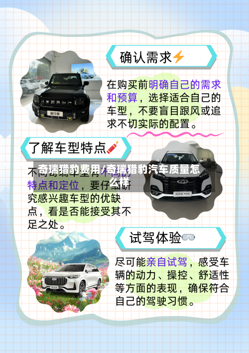 奇瑞猎豹费用/奇瑞猎豹汽车质量怎么样-第3张图片