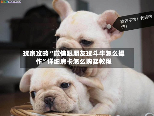 玩家攻略“微信跟朋友玩斗牛怎么操作”详细房卡怎么购买教程-第2张图片
