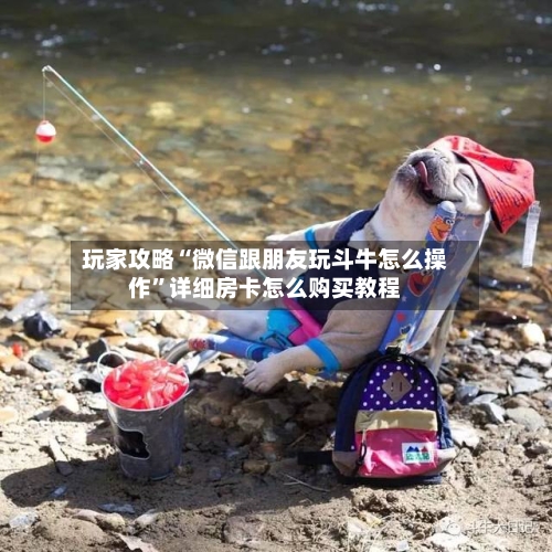 玩家攻略“微信跟朋友玩斗牛怎么操作”详细房卡怎么购买教程-第3张图片