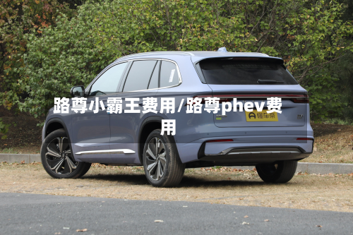 路尊小霸王费用/路尊phev费用