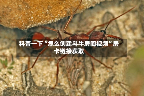 科普一下“怎么创建斗牛房间视频”房卡链接获取-第2张图片