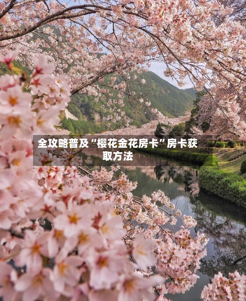 全攻略普及“樱花金花房卡”房卡获取方法-第3张图片