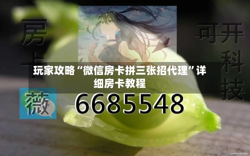 玩家攻略“微信房卡拼三张招代理”详细房卡教程-第2张图片