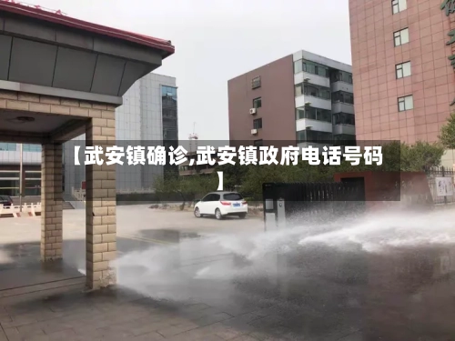 【武安镇确诊,武安镇政府电话号码】