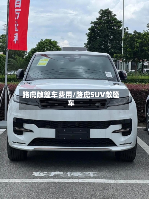 路虎敞篷车费用/路虎SUV敞篷车-第3张图片