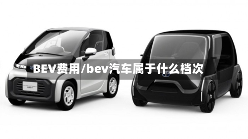 BEV费用/bev汽车属于什么档次-第2张图片