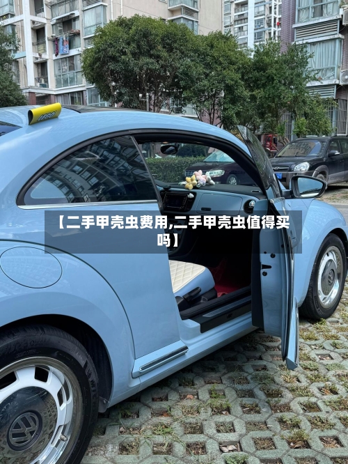 【二手甲壳虫费用,二手甲壳虫值得买吗】