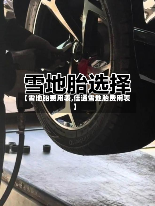 【雪地胎费用表,佳通雪地胎费用表】-第3张图片