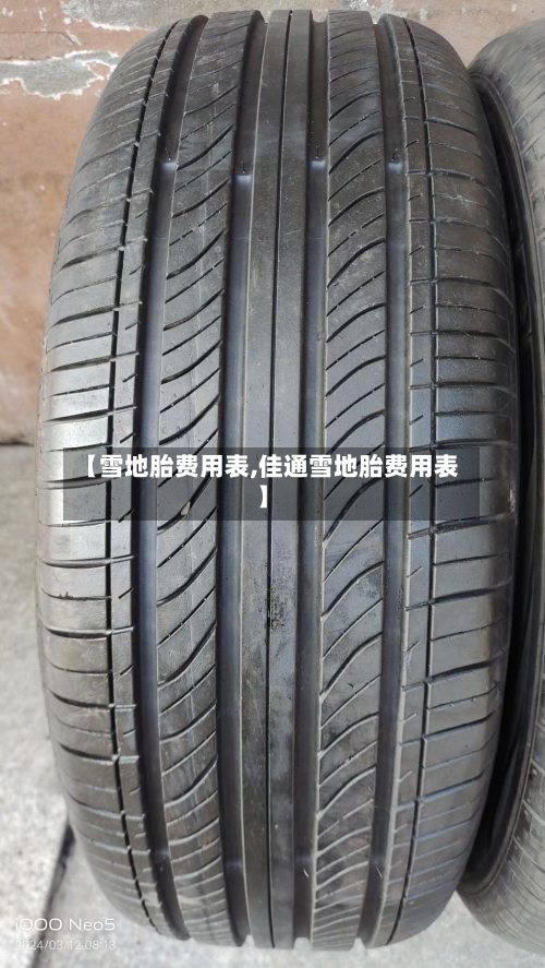【雪地胎费用表,佳通雪地胎费用表】