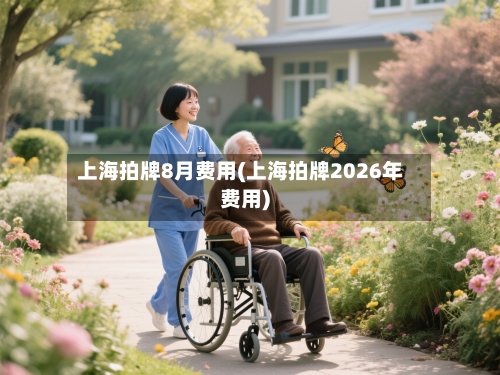上海拍牌8月费用(上海拍牌2026年费用)-第2张图片