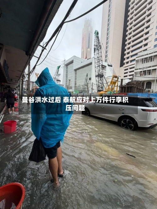 曼谷洪水过后 泰航应对上万件行李积压问题-第3张图片