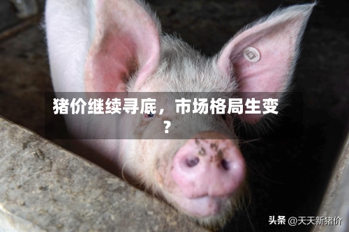 猪价继续寻底，市场格局生变？-第1张图片