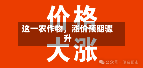 这一农作物,涨价预期骤升