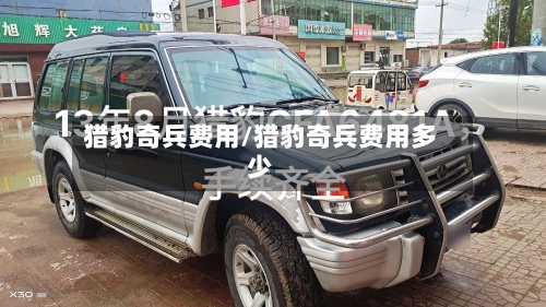 猎豹奇兵费用/猎豹奇兵费用多少