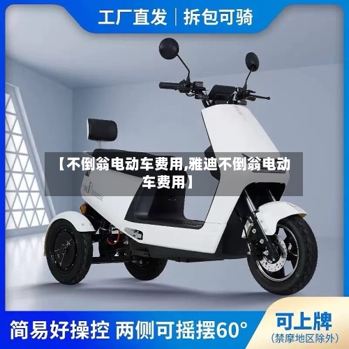 【不倒翁电动车费用,雅迪不倒翁电动车费用】