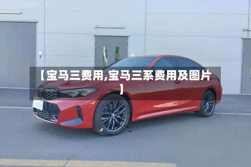 【宝马三费用,宝马三系费用及图片】-第2张图片