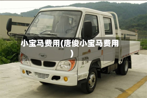 小宝马费用(唐俊小宝马费用)