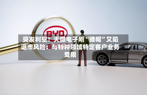 突发利空！天微电子刚“摘帽”又陷退市风险：与特种领域特定客户业务受限