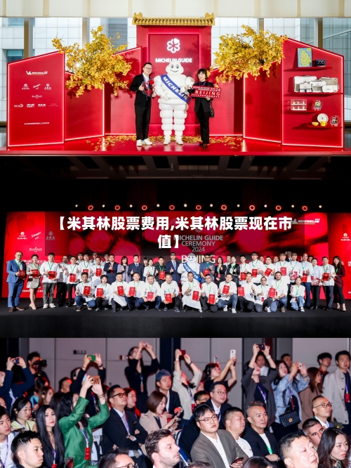 【米其林股票费用,米其林股票现在市值】-第3张图片