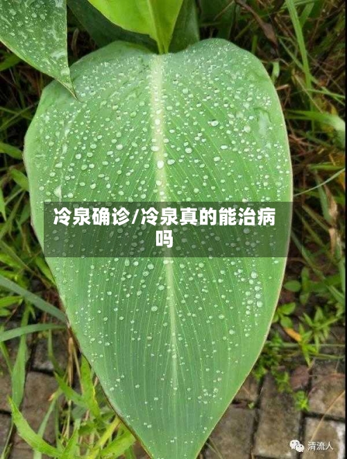 冷泉确诊/冷泉真的能治病吗
