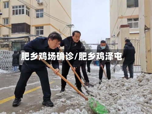肥乡鸡场确诊/肥乡鸡泽屯-第2张图片