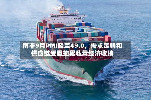 南非9月PMI降至49.0，需求走弱和供应链受阻拖累私营经济收缩-第3张图片