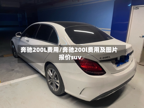 奔驰200L费用/奔驰200l费用及图片报价suv