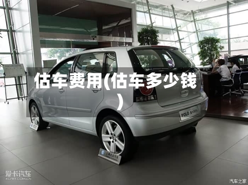 估车费用(估车多少钱)-第3张图片