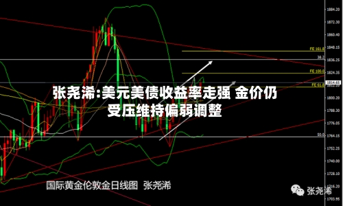 张尧浠:美元美债收益率走强 金价仍受压维持偏弱调整
