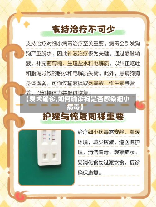 【爱犬确诊,如何确诊狗是否感染细小病毒】