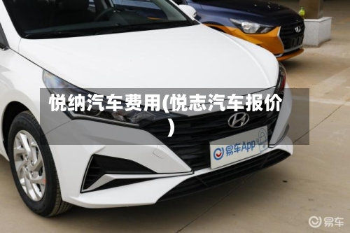 悦纳汽车费用(悦志汽车报价)