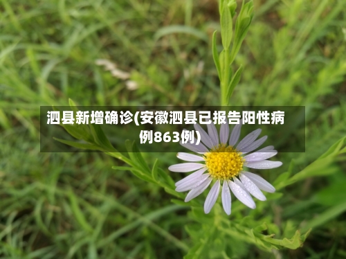 泗县新增确诊(安徽泗县已报告阳性病例863例)