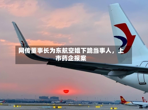 网传董事长为东航空姐下跪当事人，上市药企报案-第3张图片
