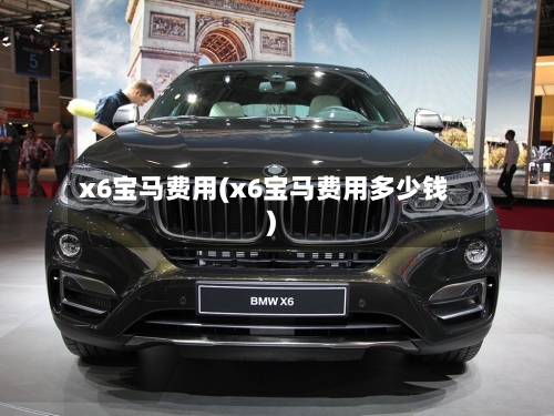 x6宝马费用(x6宝马费用多少钱)-第2张图片