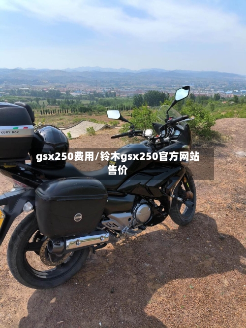 gsx250费用/铃木gsx250官方网站售价-第2张图片