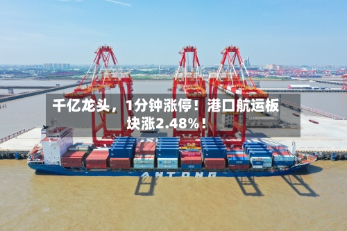 千亿龙头，1分钟涨停！港口航运板块涨2.48%！