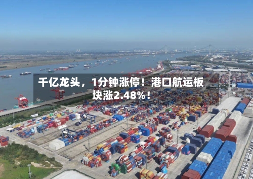 千亿龙头，1分钟涨停！港口航运板块涨2.48%！-第2张图片