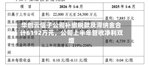 华创云信子公司补缴税款及滞纳金合计6192万元，公司上半年营收净利双增-第2张图片