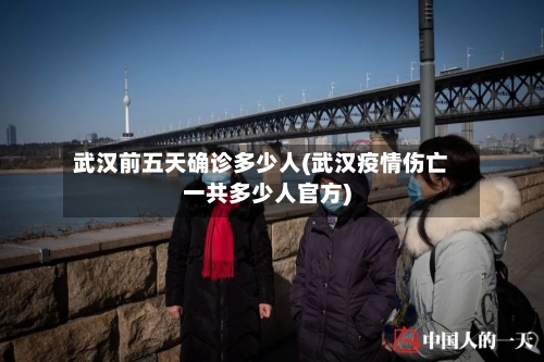 武汉前五天确诊多少人(武汉疫情伤亡一共多少人官方)