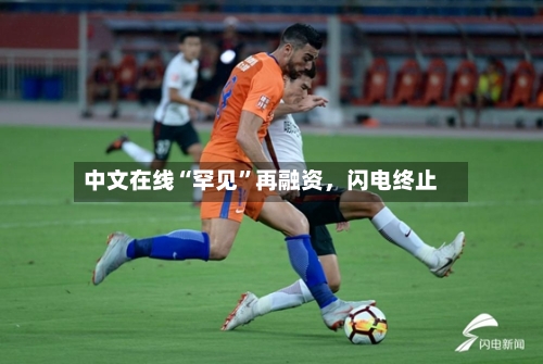 中文在线“罕见	”再融资，闪电终止-第3张图片