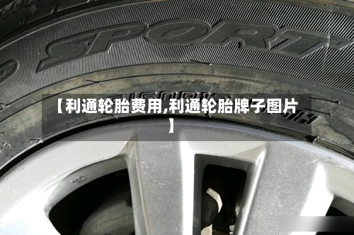 【利通轮胎费用,利通轮胎牌子图片】-第3张图片