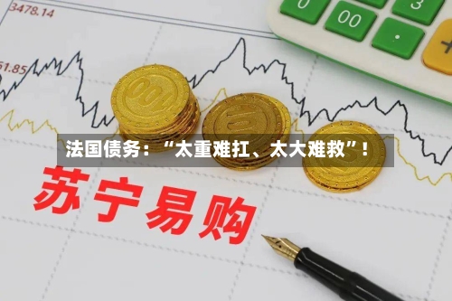 法国债务：“太重难扛、太大难救	”！-第2张图片