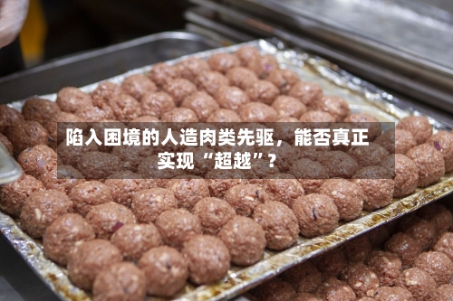 陷入困境的人造肉类先驱	，能否真正实现 “超越	”？-第1张图片